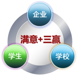 软件与信息服务 信息技术系中软件技术服务的关键角色