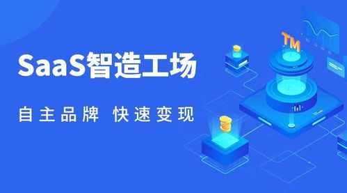 SaaS智造工场 以技术镌刻自主品牌，赋能OEM软件服务新生态